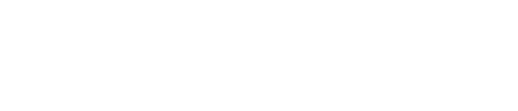 Sponsor 21