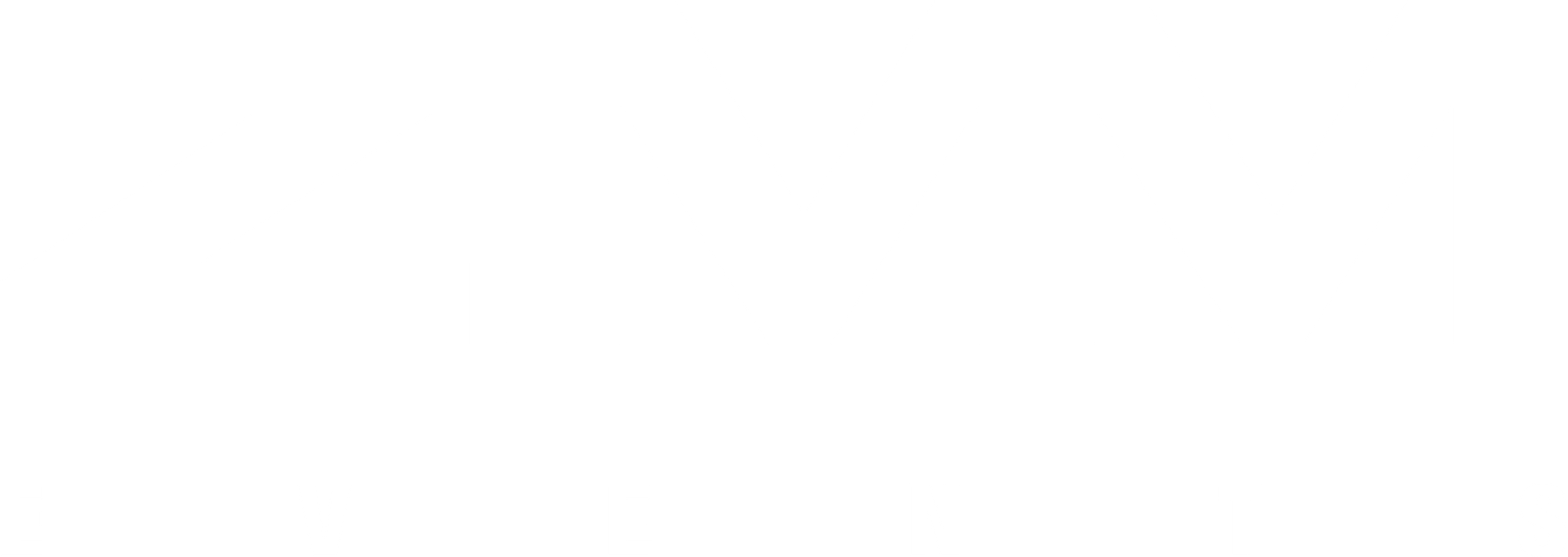 ZMM